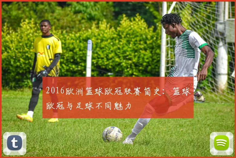 2016欧洲篮球欧冠联赛简史:篮球欧冠与足球不同魅力
