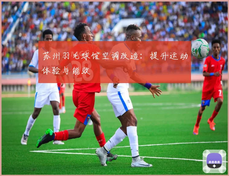 苏州羽毛球馆空调改造：提升运动体验与能效