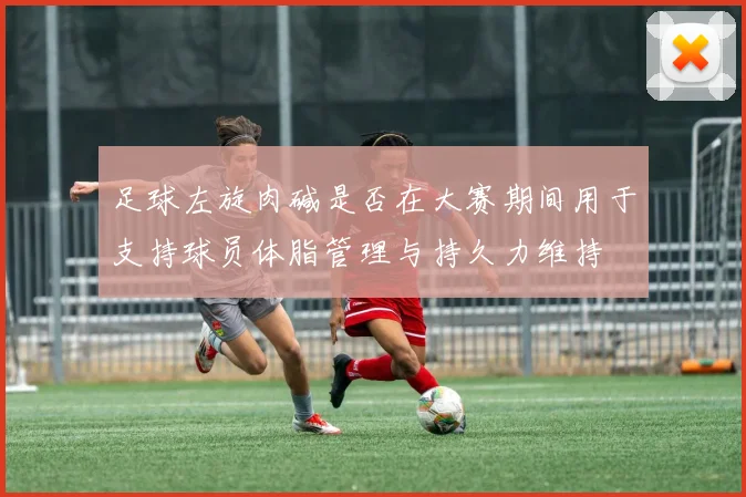足球左旋肉碱是否在大赛期间用于支持球员体脂管理与持久力维持