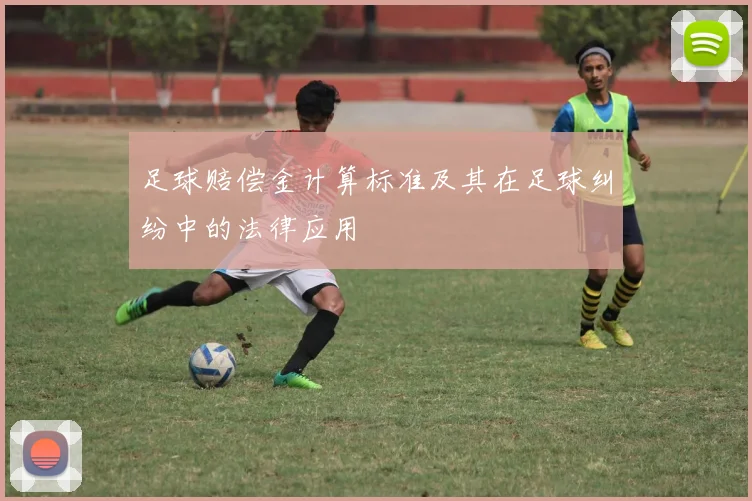 足球赔偿金计算标准及其在足球纠纷中的法律应用