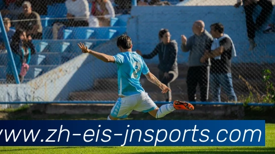 江南体育平台生态图